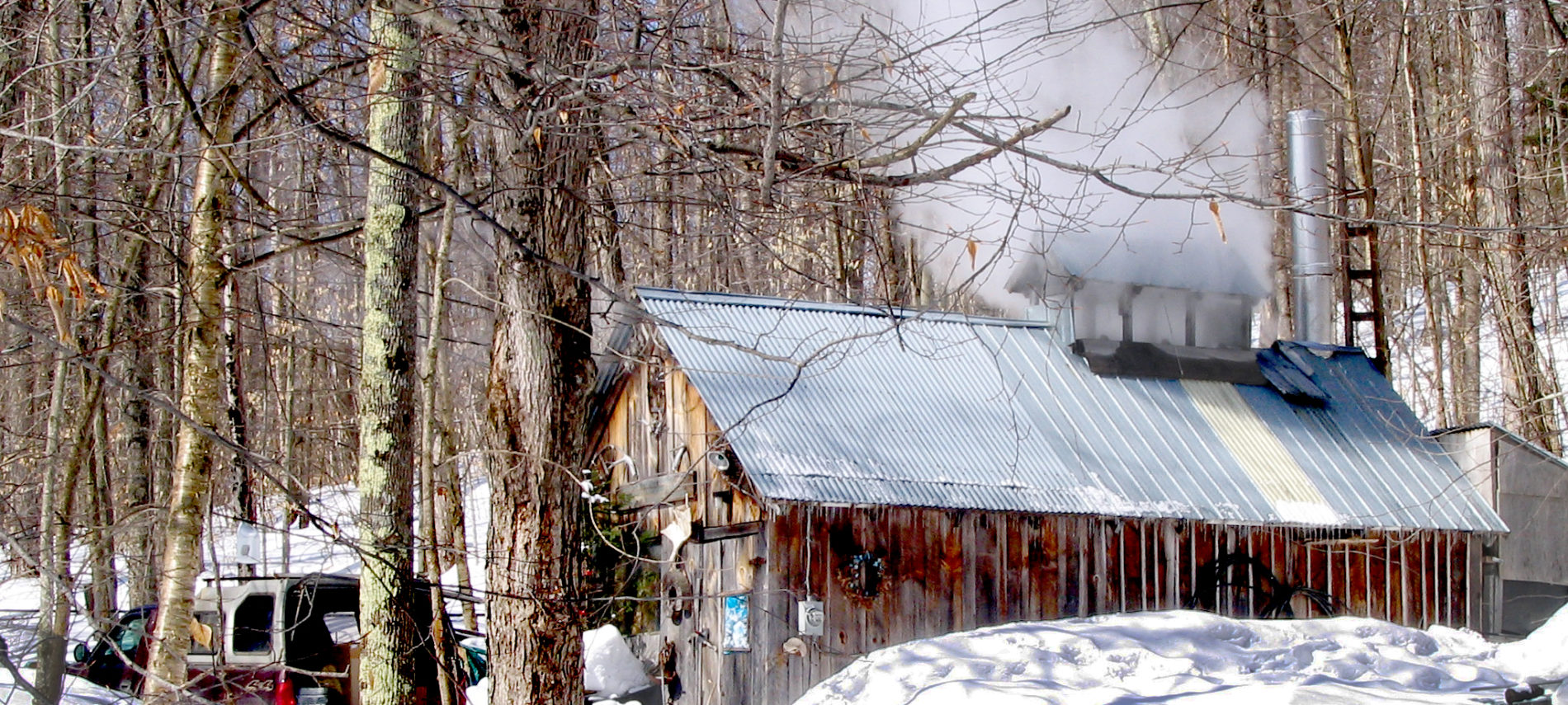 Maple Sugar Season 2024 Molli Theresa