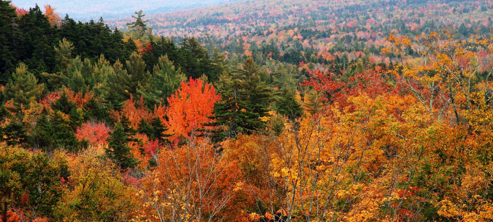 TOP TEN Places To See Fall Colors in Vermont and New Hampshire