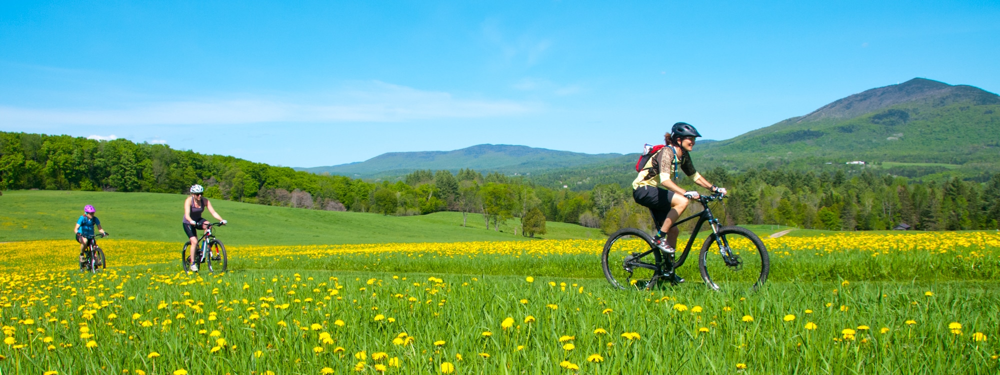 mountain bike kingdom trails